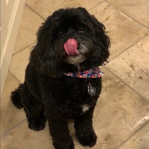 Meet your Posher, Brittany